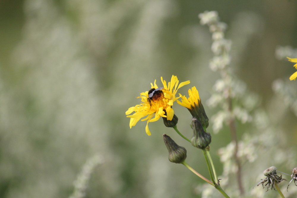 Photograph by Ирина Комарова