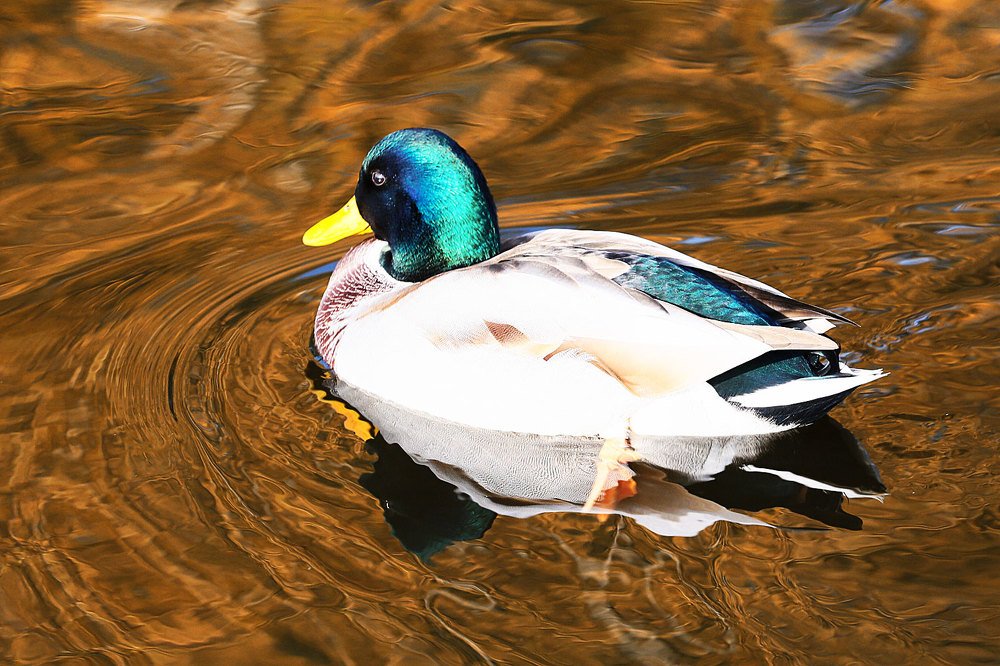 Photograph by Иван Мороз