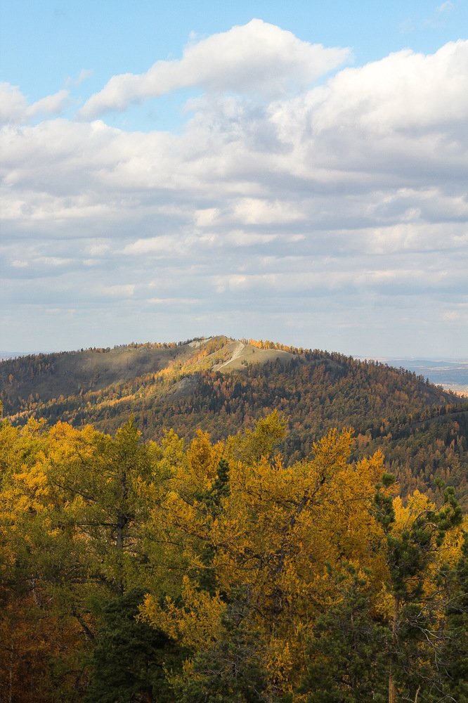 Photograph by Дарья Кузьминых