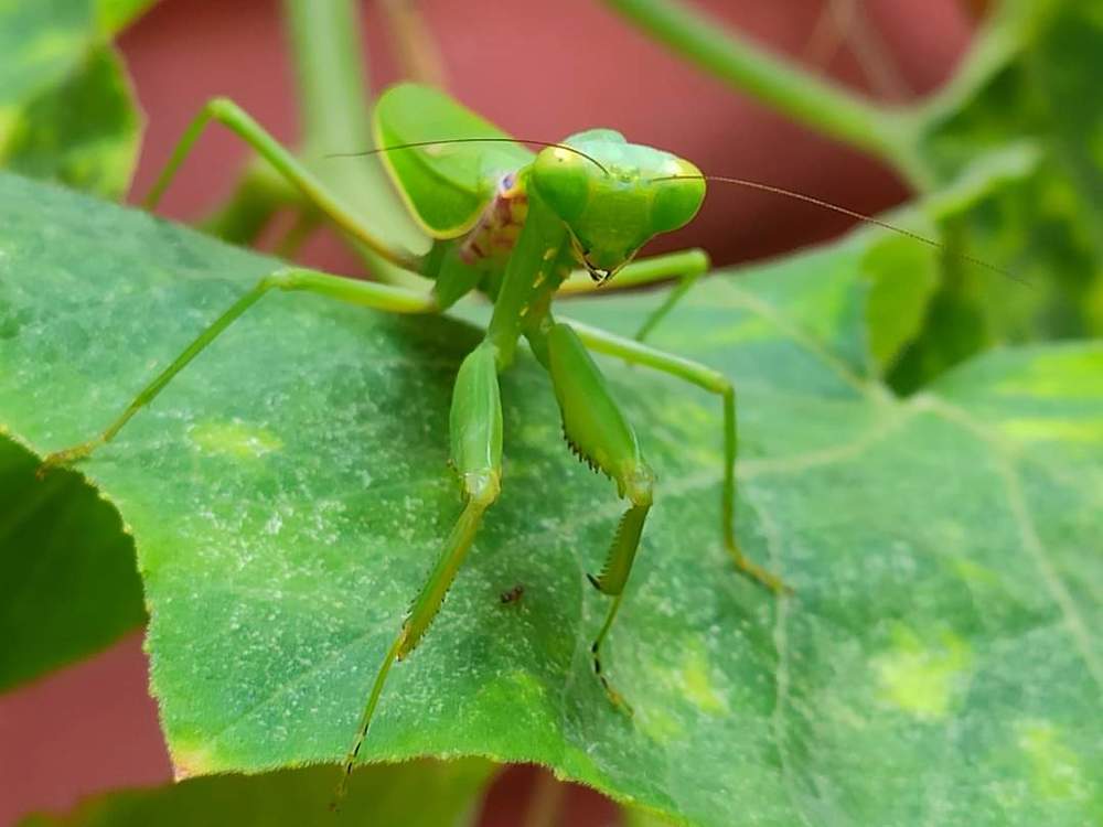 Photograph by Jonathan