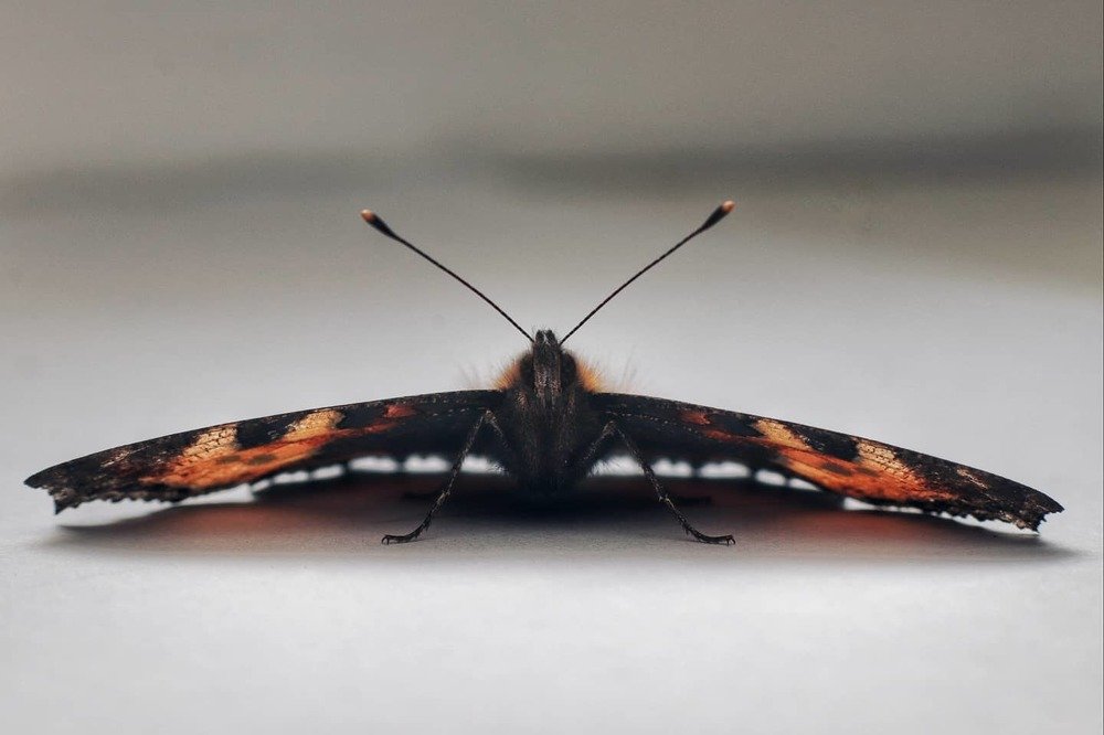 Предполётная подготовка