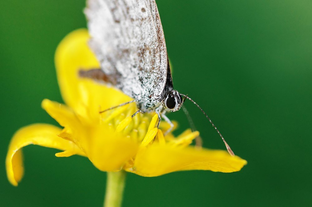 Photograph by Владимир Салапонов
