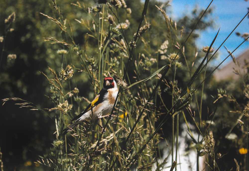 Photograph by Кирилл Кульган