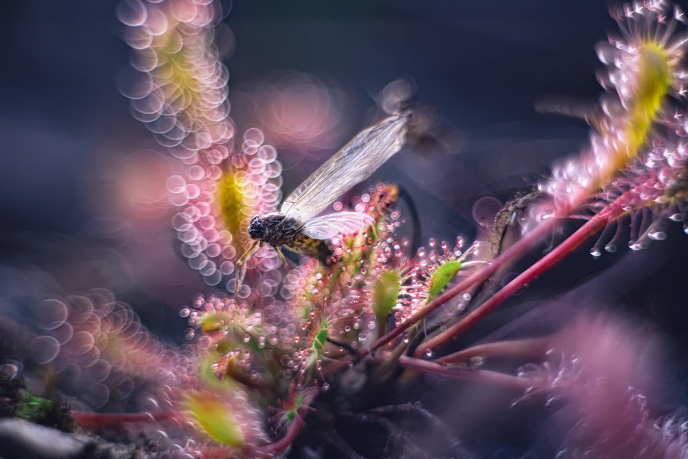 Photograph by Sylwia Grabinska