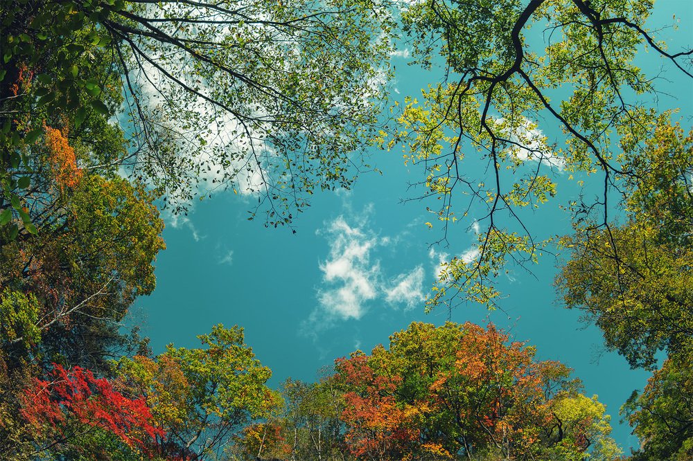 Photograph by Александр Кузнецов