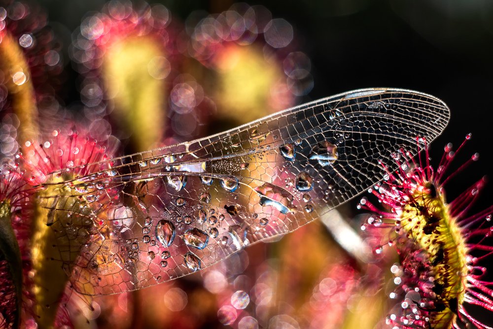 Photograph by Sylwia Grabinska