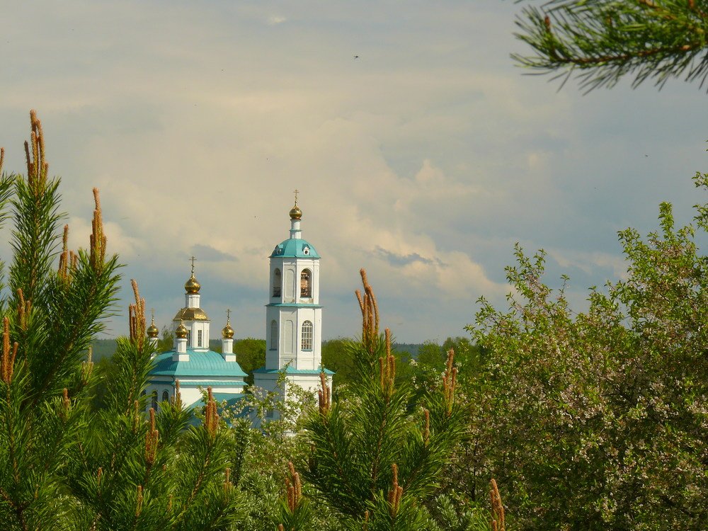 Весенний день.