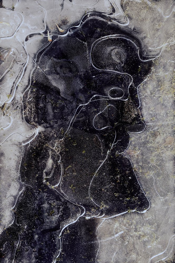 Photograph by ПОЛУЕВ ИЛЬЯ