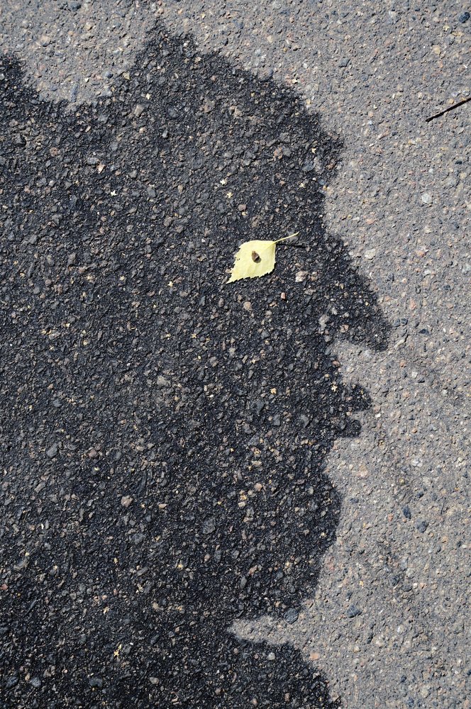 Photograph by ПОЛУЕВ ИЛЬЯ