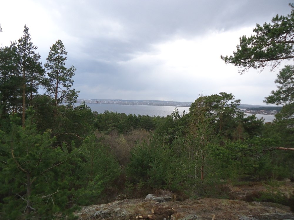Photo #5080866