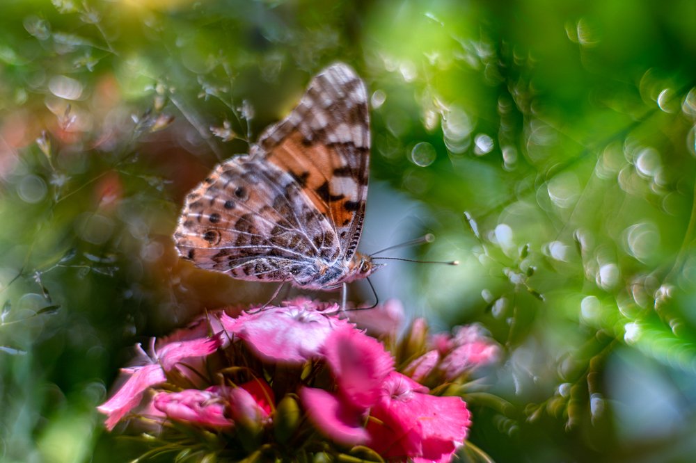 Photograph by Sylwia Grabinska