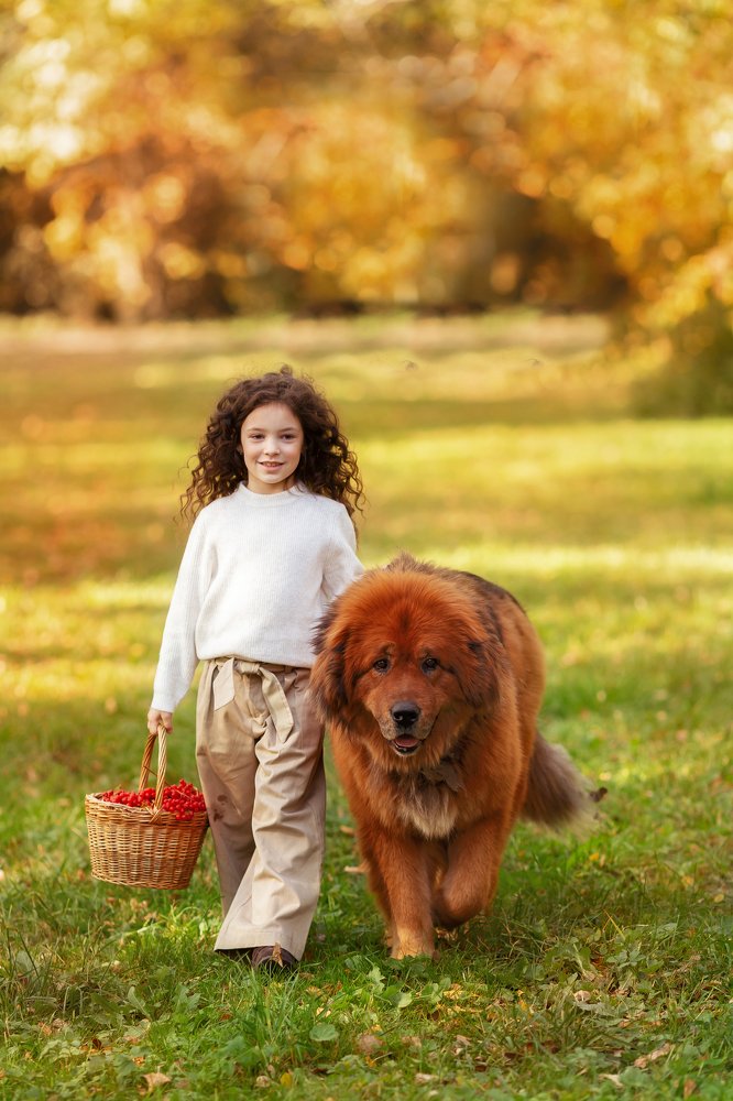 Photograph by Екатерина Коломеец