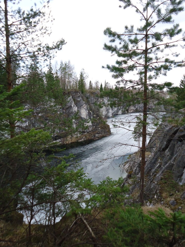 Photo #5080888