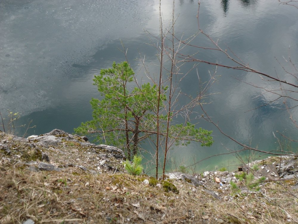 Photo #5080889