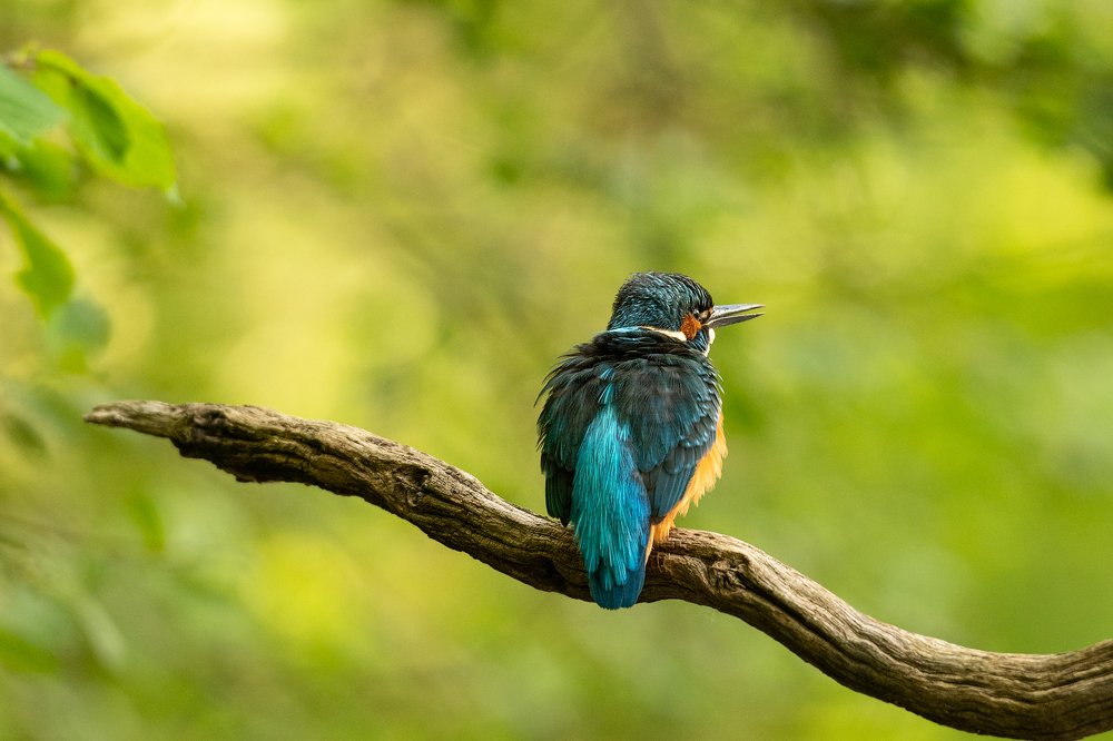 Photograph by Sylwia Grabinska