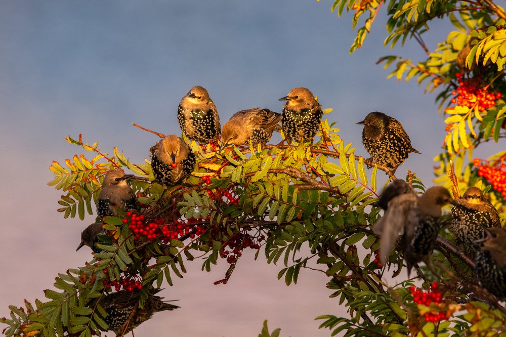 Photograph by Sylwia Grabinska