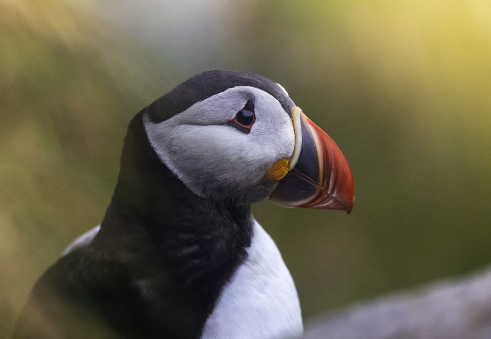 Photograph by Sylwia Grabinska