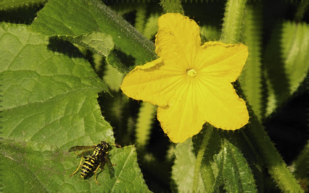 Photograph by Сергей Рудаков