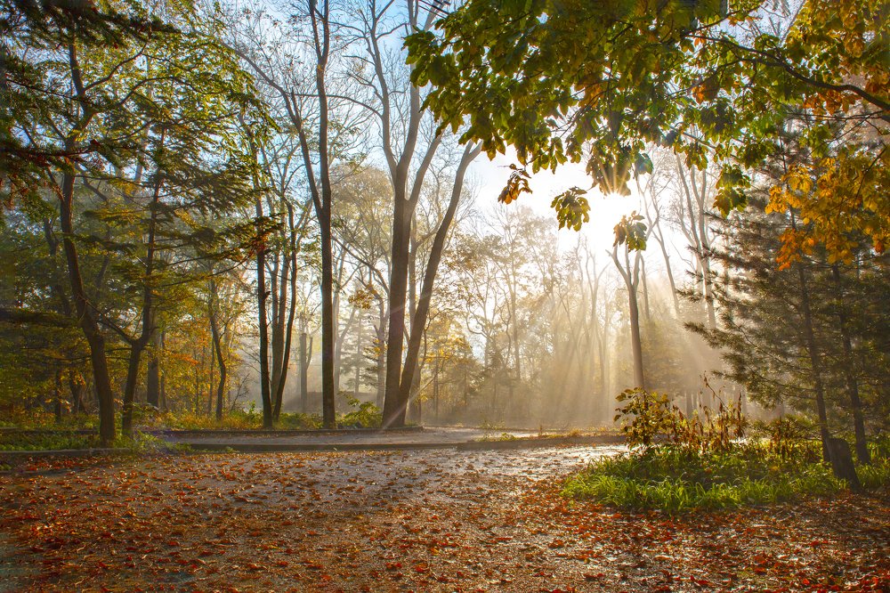 Photograph by Иван Радьков