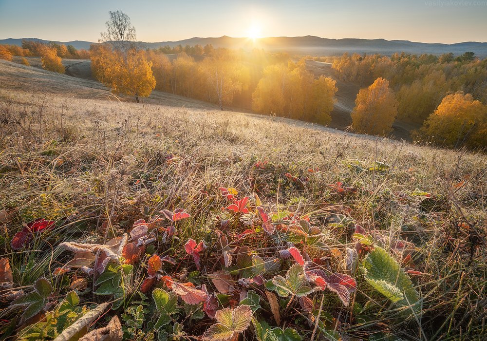 Photograph by Василий Яковлев