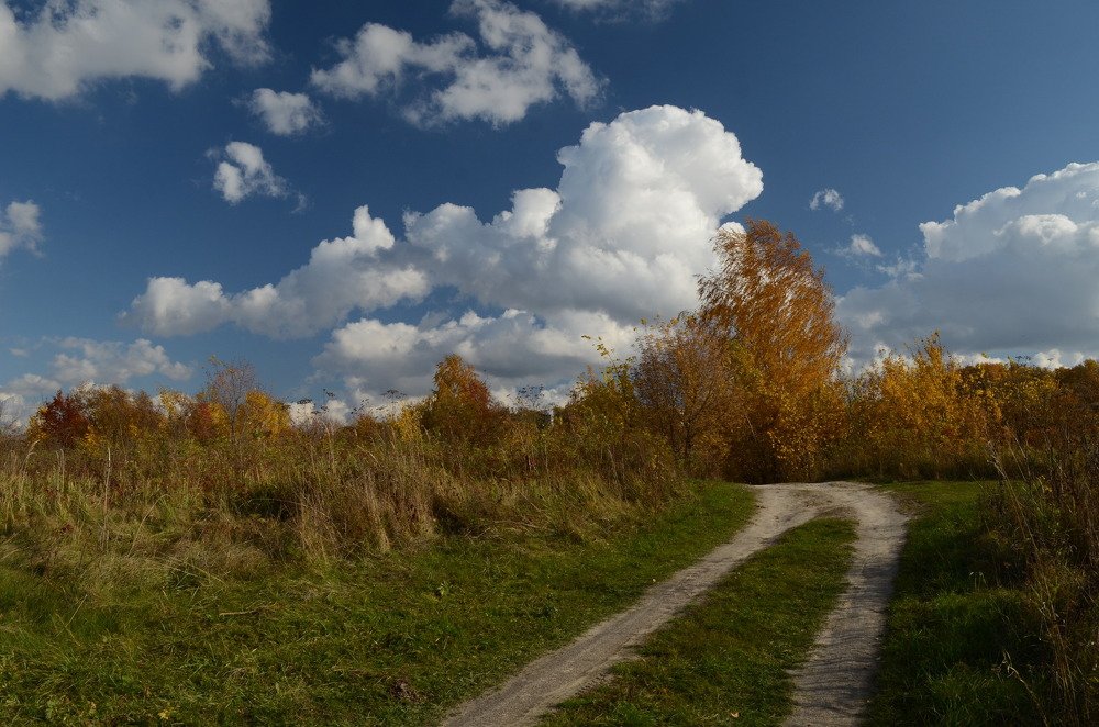 the colors of autumn