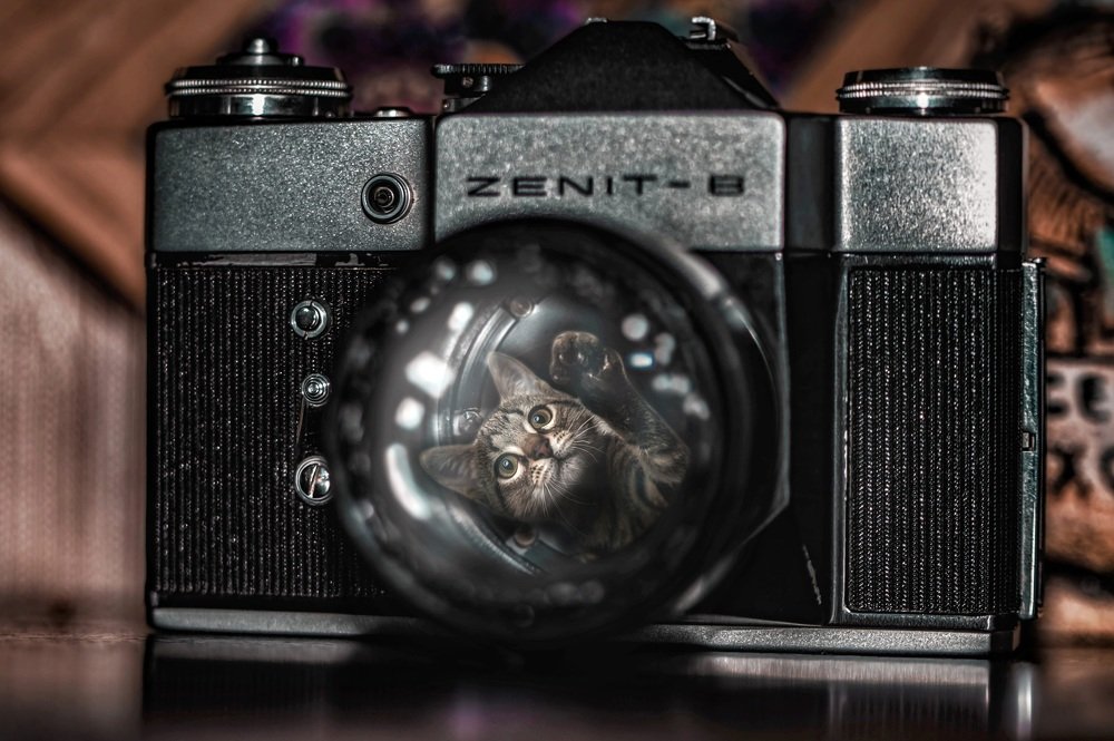 Photograph by Кирилл Кульган