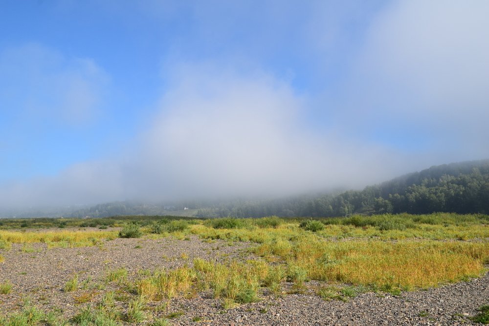 Photograph by Наталья Ченчикова