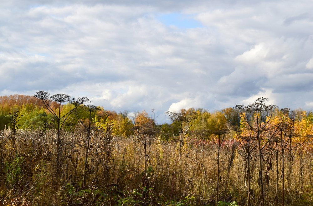 Photograph by Наталья Ченчикова