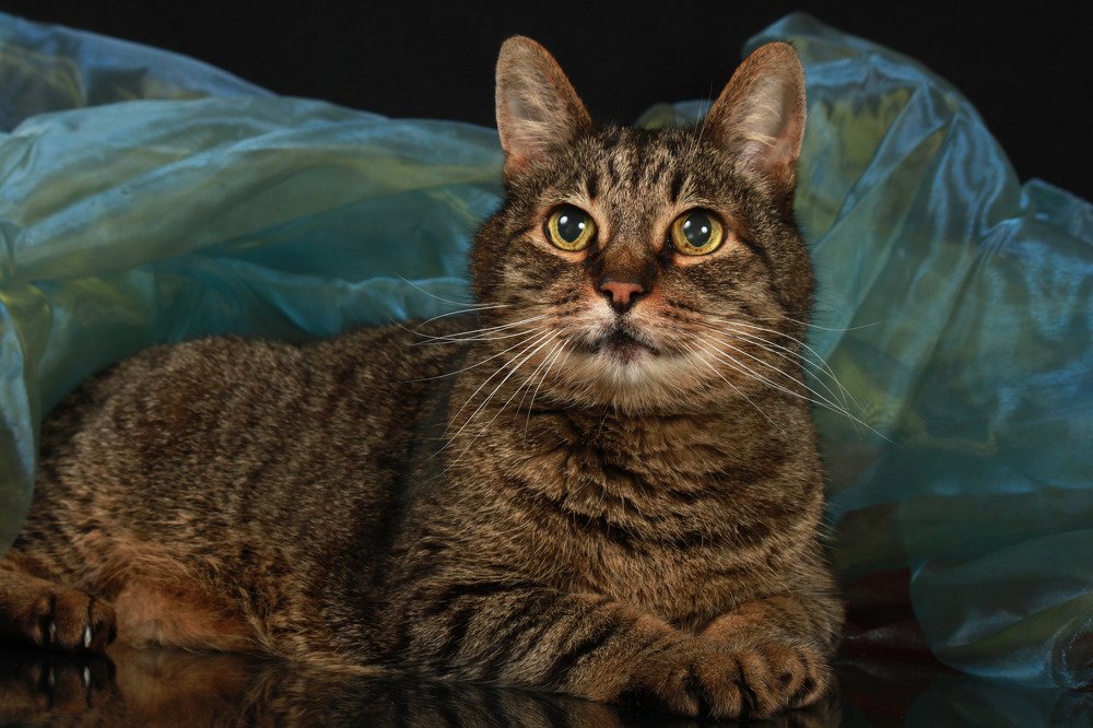 Photograph by Елена Кутепова