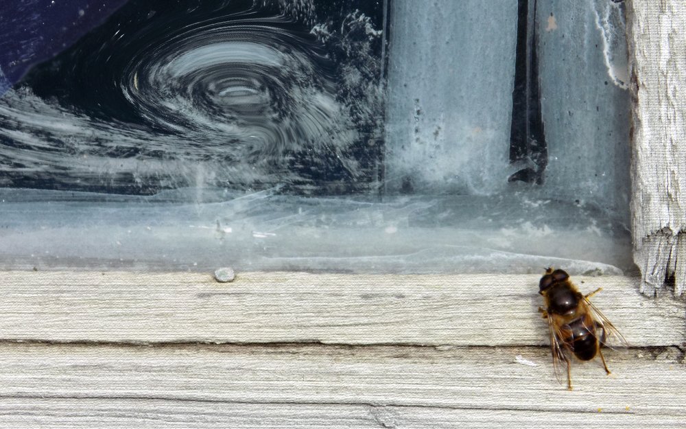 Photograph by Сергей Рудаков