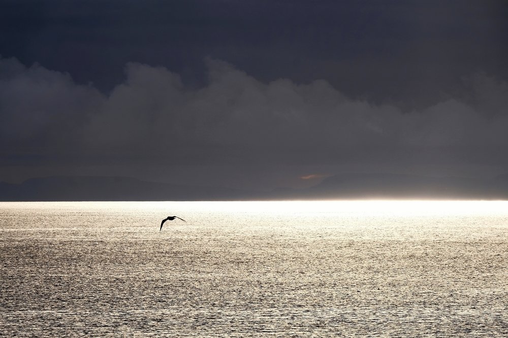 Photograph by Леонид Петруша