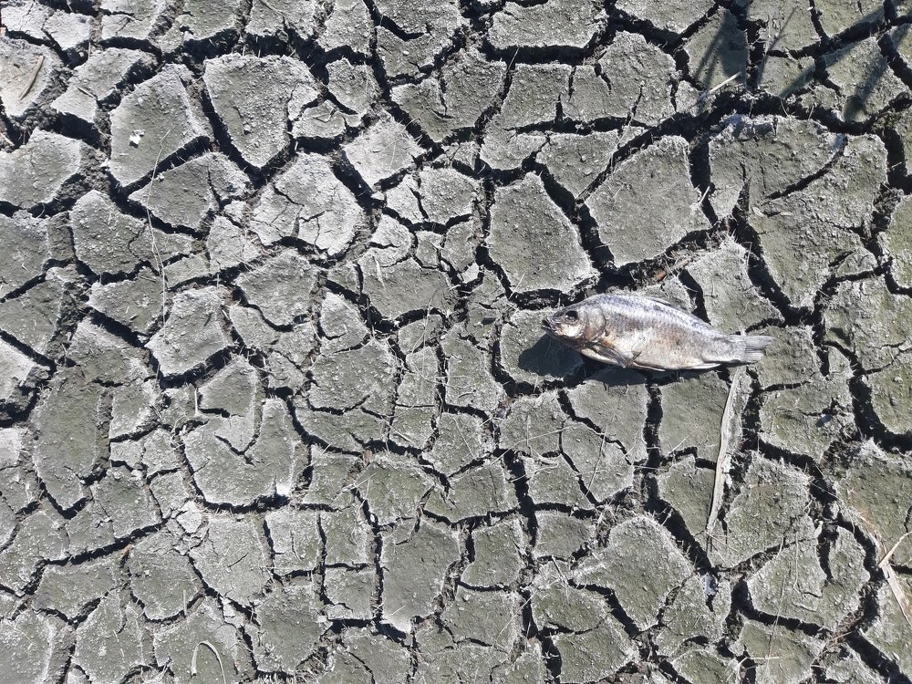 Photograph by Белоусов Александр