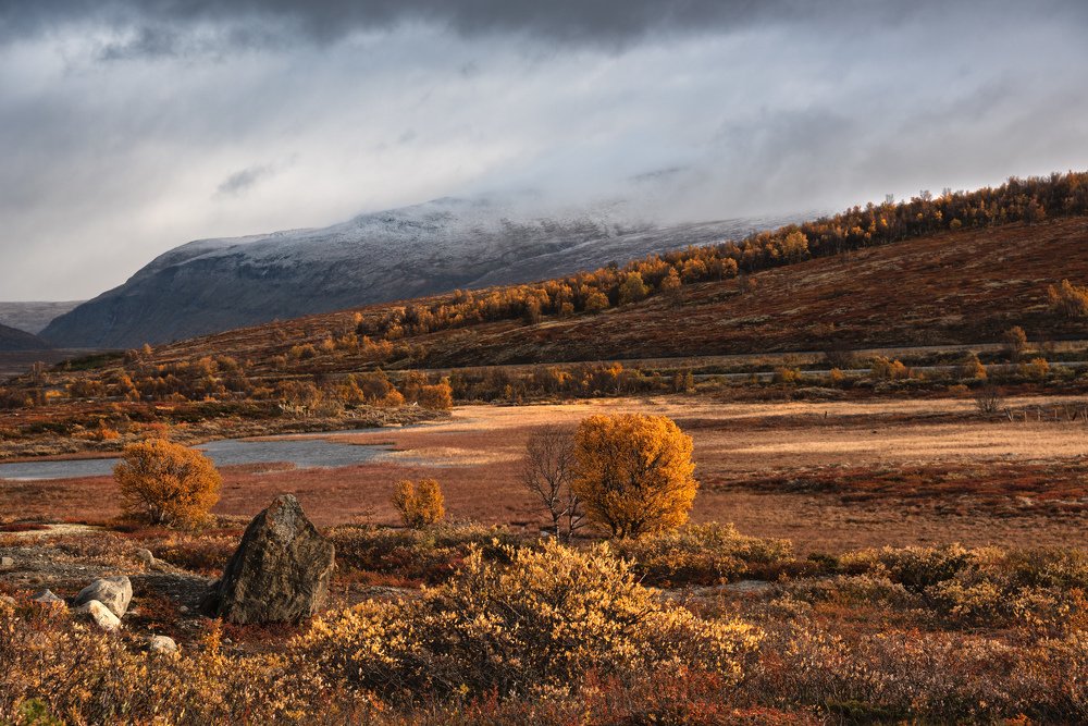 Dovrefjell, Norway