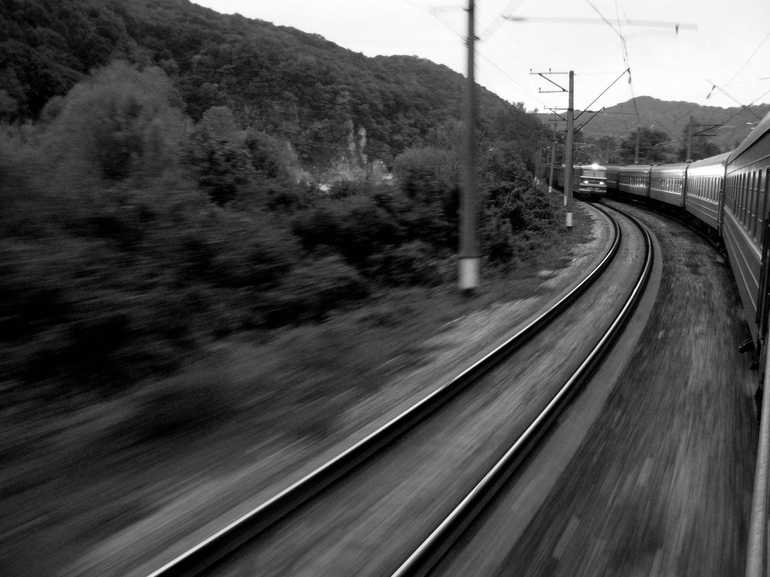 Photo #5081107