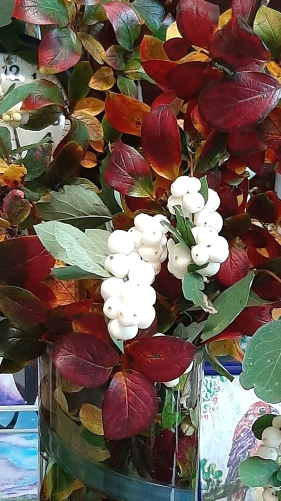 Краски осени