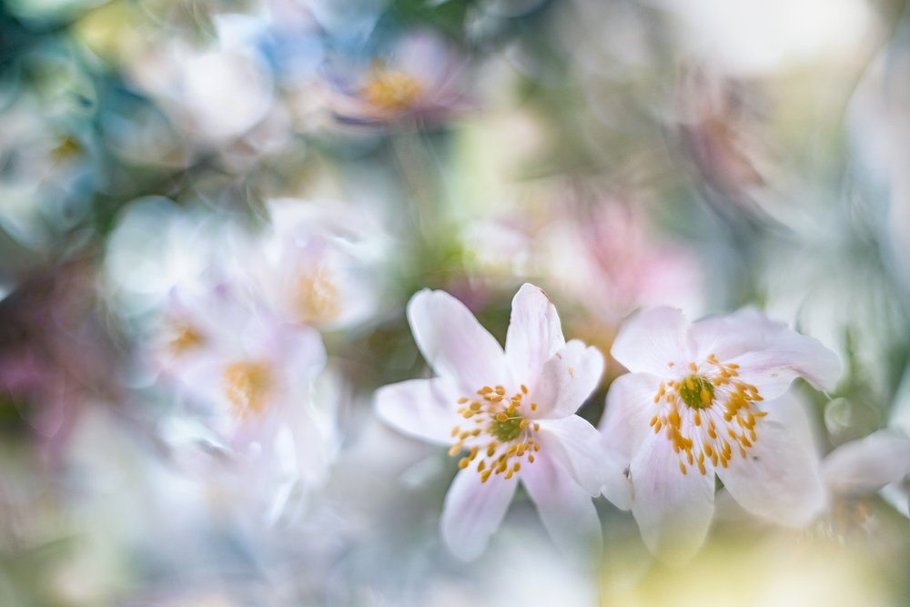 Photograph by Sylwia Grabinska