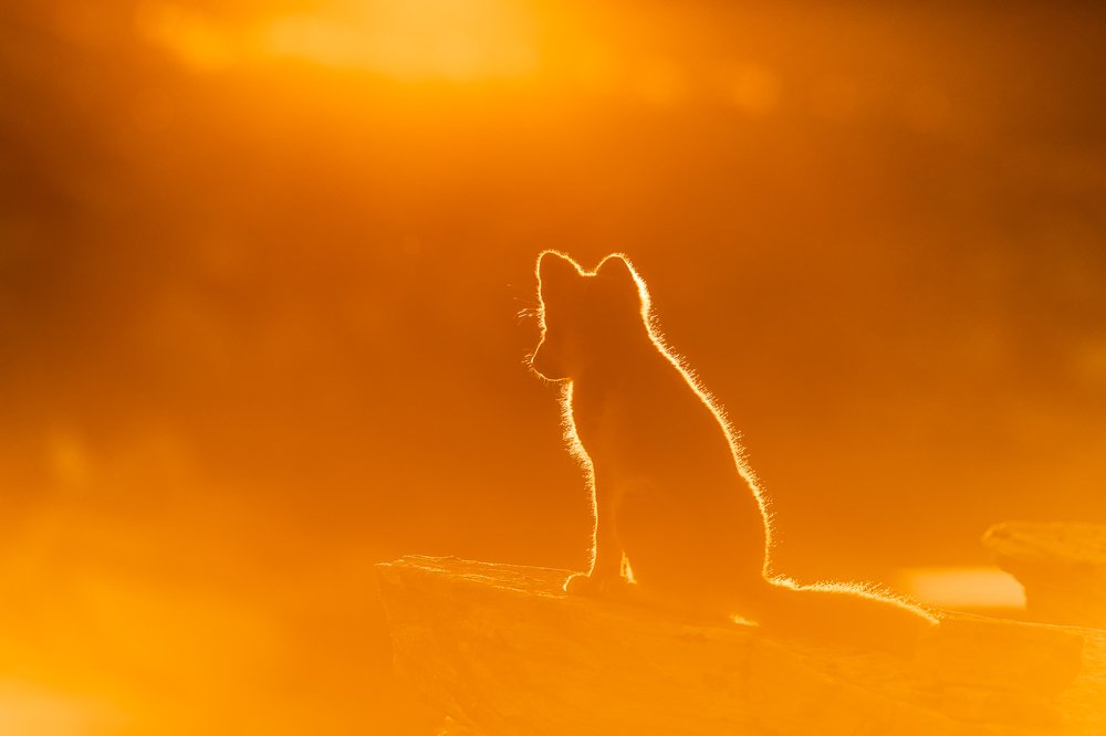 Photograph by Sylwia Grabinska