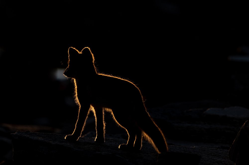 Photograph by Sylwia Grabinska