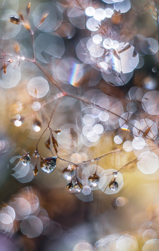 Photograph by Sylwia Grabinska