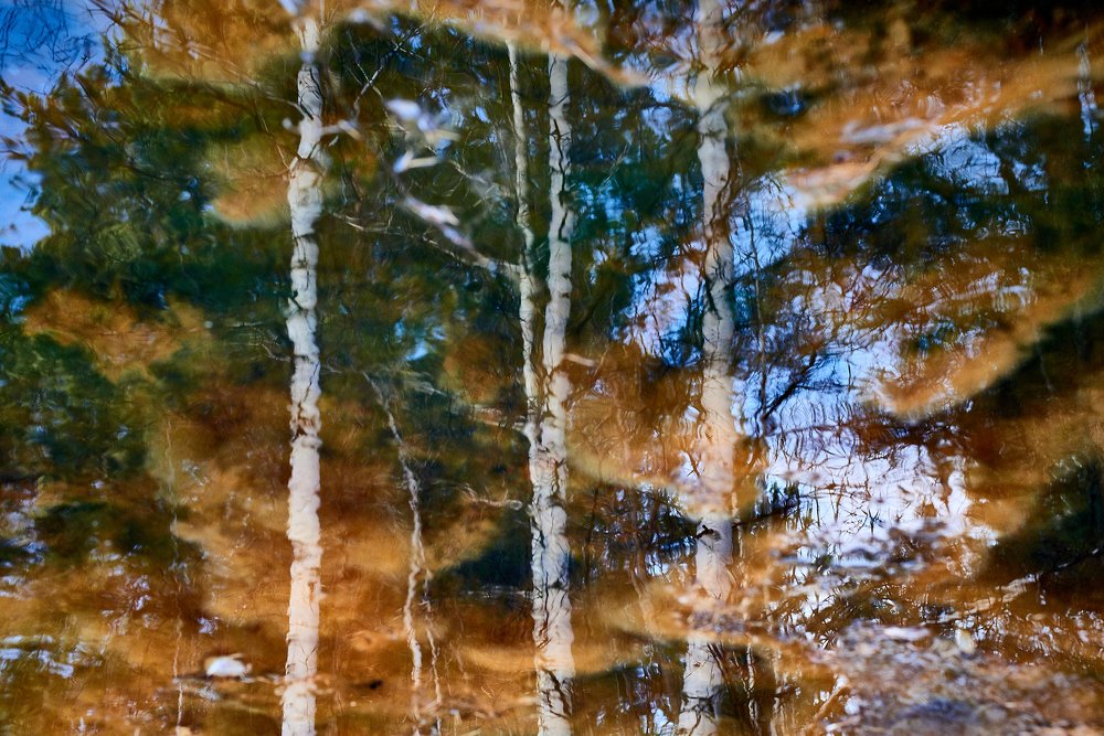 Осенняя акварель