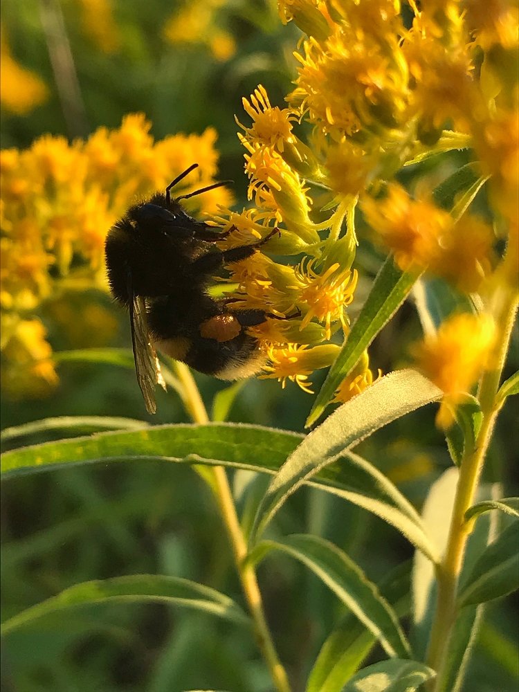 Фотография автора Евгения Илина