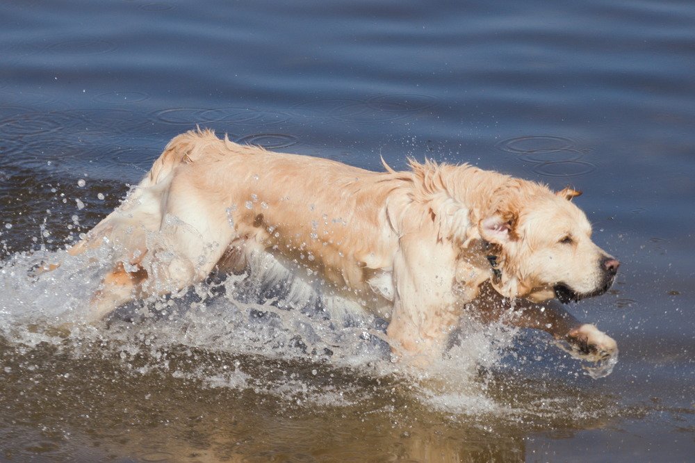 Photograph by Башлаев Константин