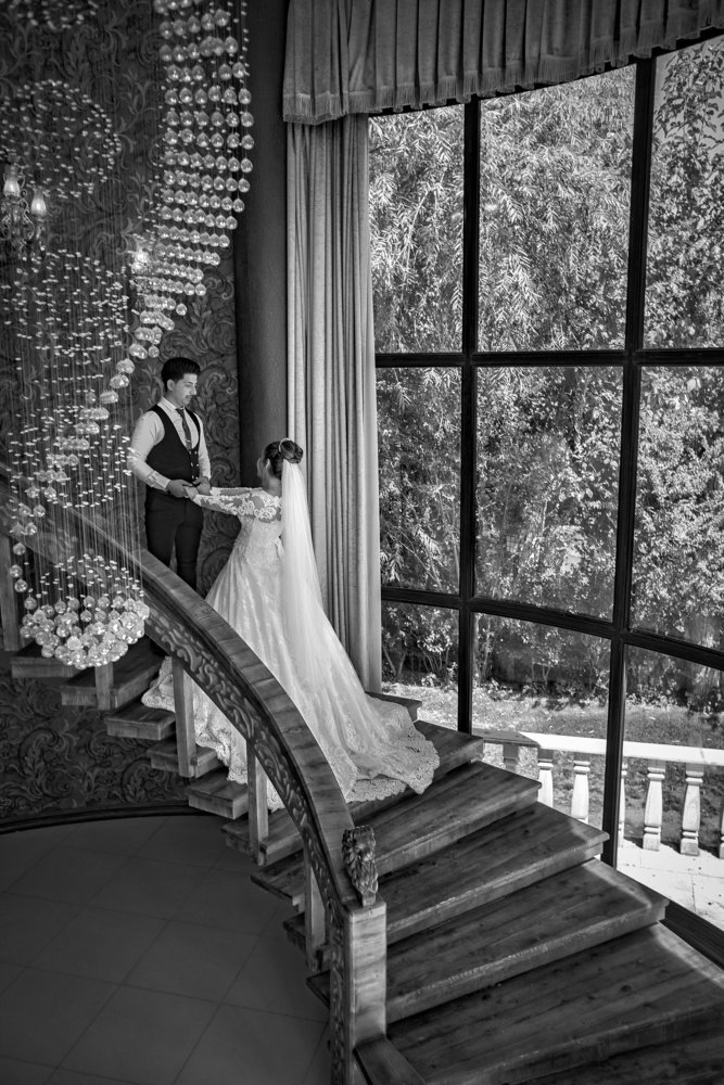 Photograph by Reza Mohammadi