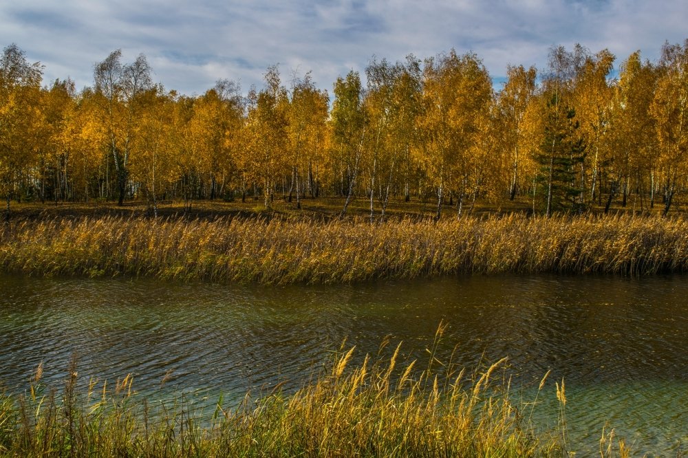 Жёлтый октябрь