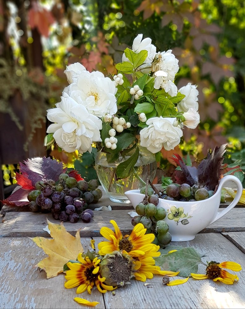 Photograph by Людмила Шатерникова