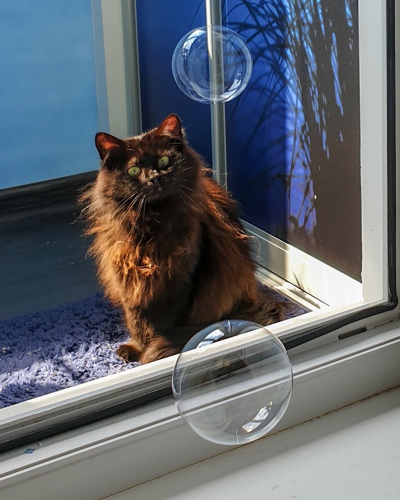 Исследователь