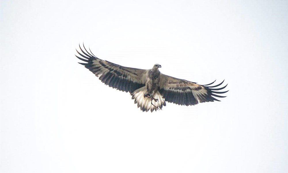 Фотография автора sathveegan