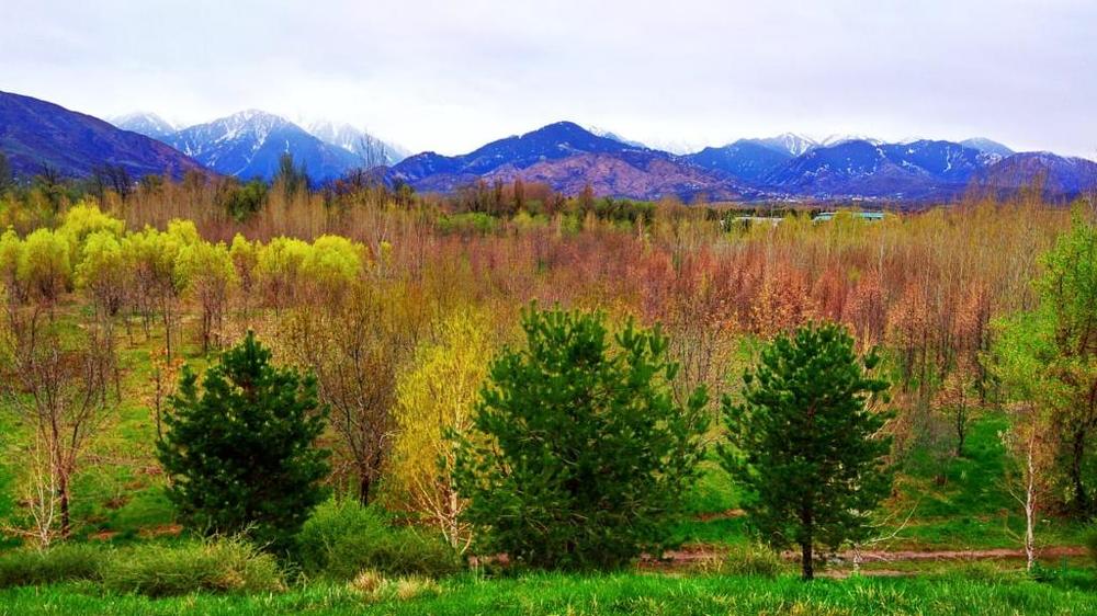 Photograph by Azhara Aribzhan