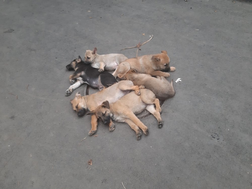 Photograph by Белоусов Александр