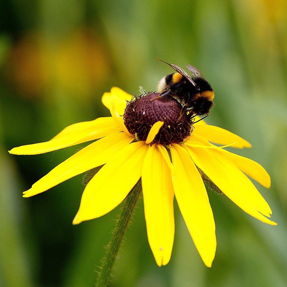 Photograph by Иван Мороз